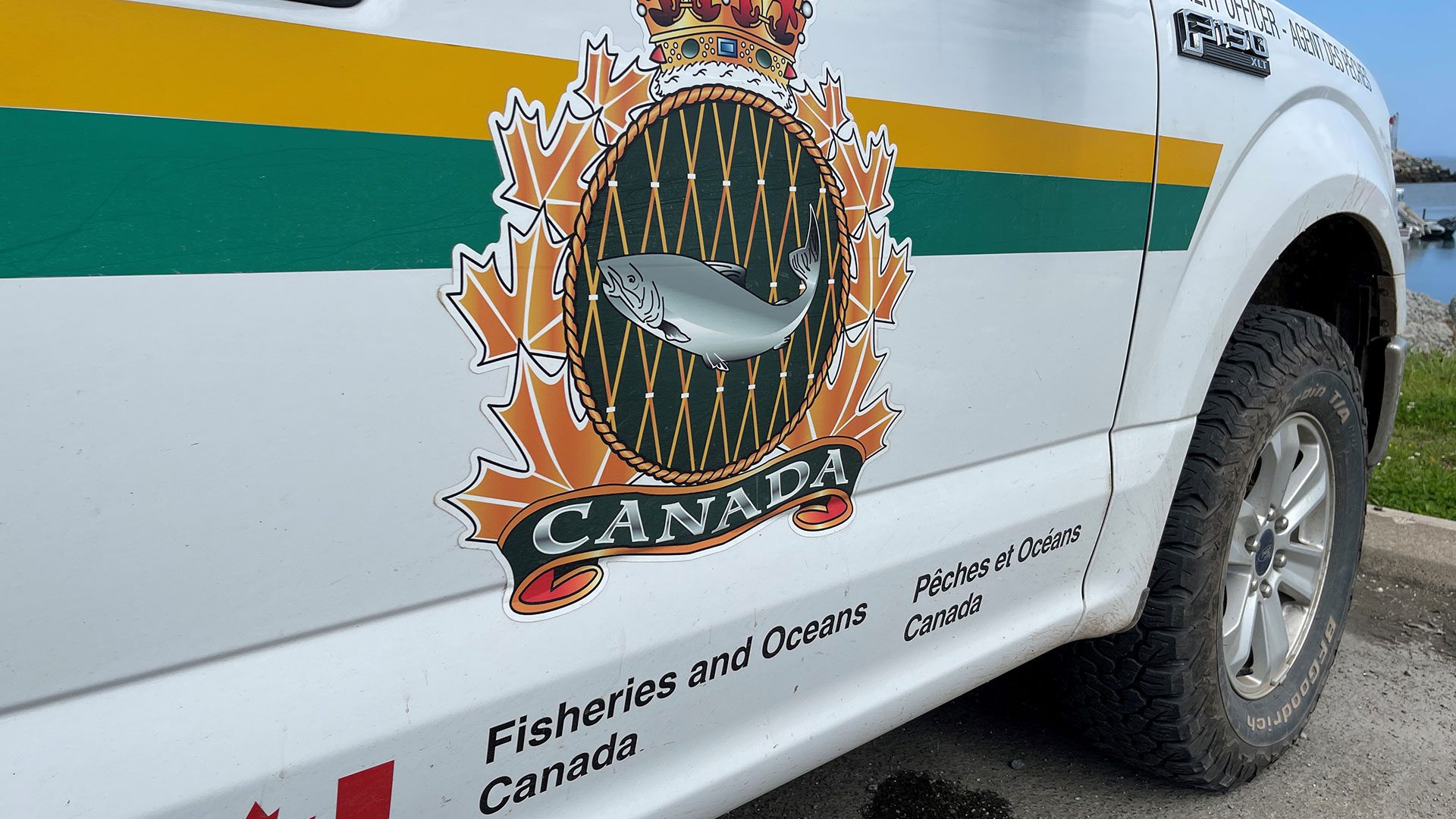 SkeenaWild warns DFO cuts threaten salmon and communities that depend on them